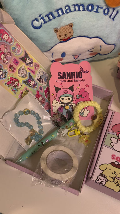 🎀 Official Sanrio Mystery Box (LIMITED EDITION!)