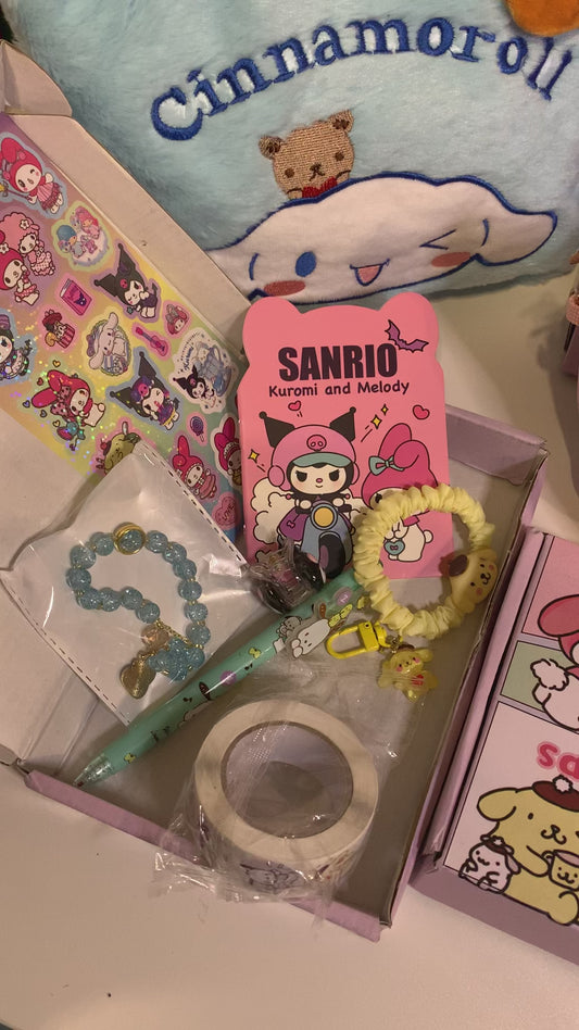 🎀 Official Sanrio Mystery Box (LIMITED EDITION!)